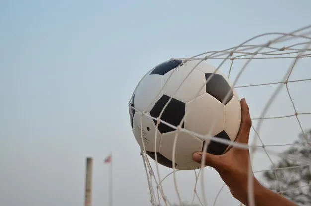 西甲联赛体育 足球赛事背景